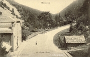 Bussang. - Route d'Alsace